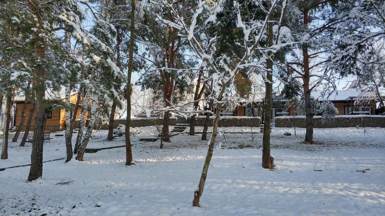 Воллен Zhvanets 외부 사진